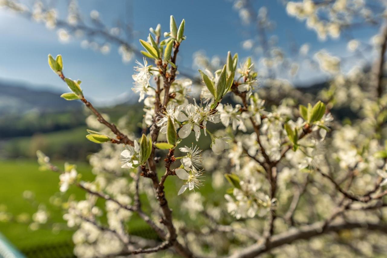 Gaestehaus Huber Fruehstueckspension Schladming Buitenkant foto